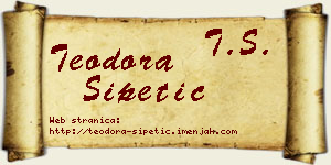 Teodora Šipetić vizit kartica